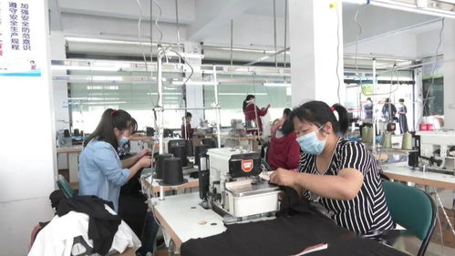 復工拓市場，網絡銷售助扶貧——?？抵埔聫S心系貧困鄉親，點亮希望之光